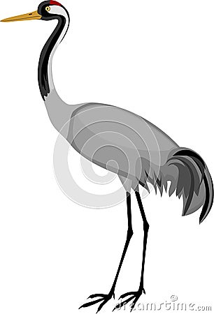 Common crane or Grus communis isolated on white background Vector Illustration